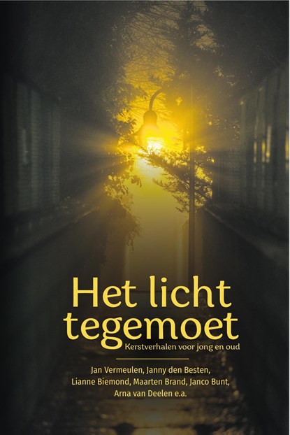 Het licht tegemoet, Janny den Besten ; Tonja Versluis ; Sytse van der Veen ; Lianne Biemond ; Maarten Brand ; Janco Bunt ; Arna van Deelen ; Marjanne Hendriksen ; Anita Kramer ; Hanneke Mostert ; Everdien Noorlander - Ebook - 9789087188924