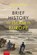 A brief history of Islam in Europe, Maurits S. Berger - Paperback - 9789087281953