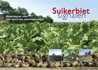 Suikerbietsignalen, J. Maassen ; H. Dodde ; Koos in 't Hout - Paperback - 9789087400156