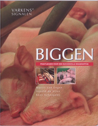 Biggen, Marrit van Engen ; Arnold de Vries ; Kees Scheepens - Paperback - 9789087400187