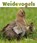 Weidevogels, Astrid Kant & Ton van Schie - Gebonden - 9789087400804