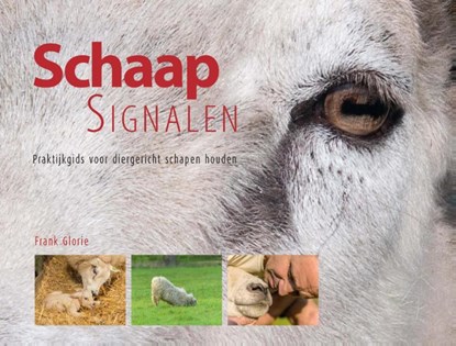 Schaapsignalen, Frank Glorie ; Jolanda Holleman ; Berrie Klein Swormink - Gebonden - 9789087401054