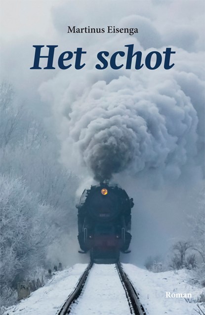 Het schot, Martinus Eisenga - Paperback - 9789087599454