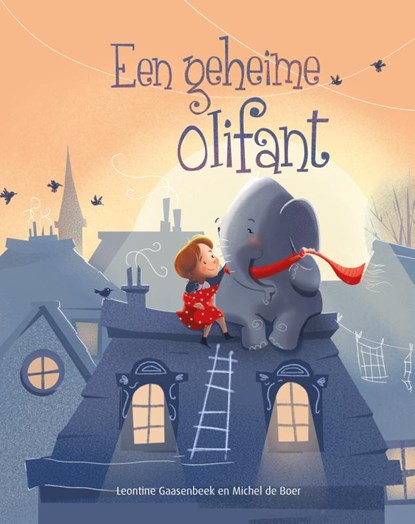 Een geheime olifant, Leontine Gaasenbeek ; Michel de Boer - Gebonden - 9789087821234