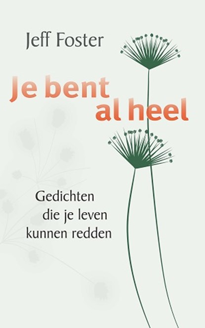 Je bent al heel, Jeff Foster - Gebonden - 9789088402241