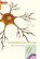Autoimmune reactions and the immune system, M.F. Delfos ; J. van Gijssel - Paperback - 9789088500473