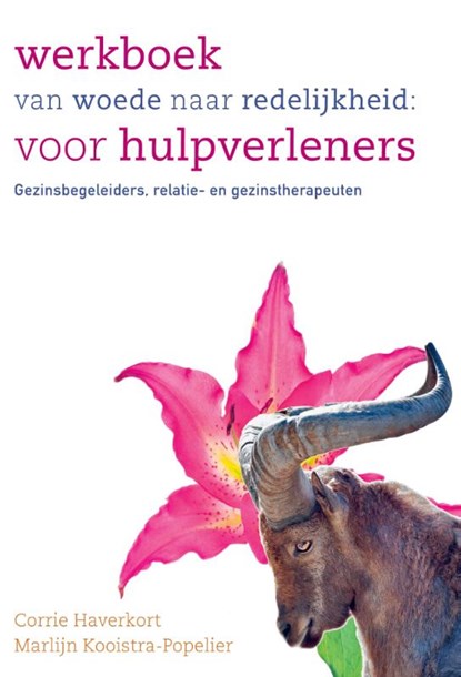 Werkboek van woede naar redelijkheid: voor hulpverleners, Corrie Haverkort ; Marlijn Kooistra-Popelier - Paperback - 9789088508837