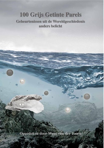 100 grijs getinte parels, Wout van der Toorn - Paperback - 9789088601064