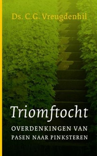 Triomftocht, C.G. Vreugdenhil - Paperback - 9789088650840