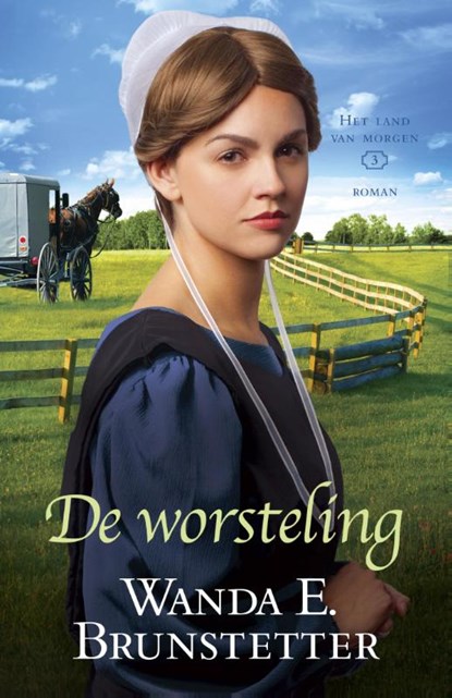 De worsteling, Wanda E. Brunstetter - Paperback - 9789088653018