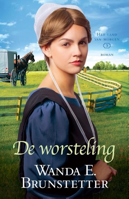 De worsteling, Wanda E. Brunstetter - Ebook - 9789088653025