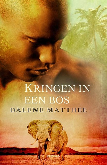 Kringen in een bos, Dalene Matthee - Paperback - 9789088653247