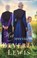 Het weerzien, Beverly Lewis - Paperback - 9789088653407