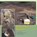 Prins onder plaggen, Evert van Ginkel - Paperback - 9789088900358