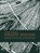 Persistent traditions, Luc Amkreutz - Paperback - 9789088902031