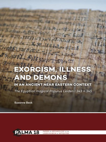 Exorcism, illness and demons in an ancient Near Eastern context, Susanne Beck - Gebonden - 9789088905407