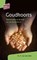 Goudkoorts, H. van den Belt - Paperback - 9789088972119