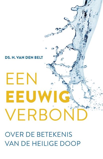 Een eeuwig verbond, H. van den Belt - Paperback - 9789088973178