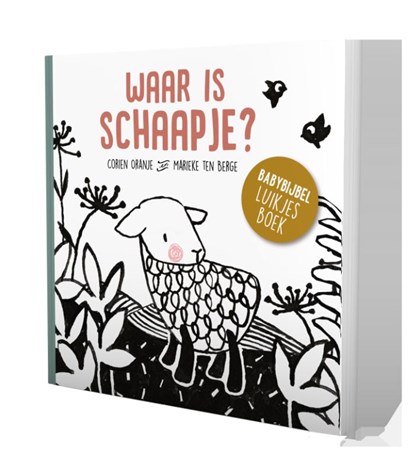 Waar is schaapje?, Corien Oranje - Gebonden - 9789089121790