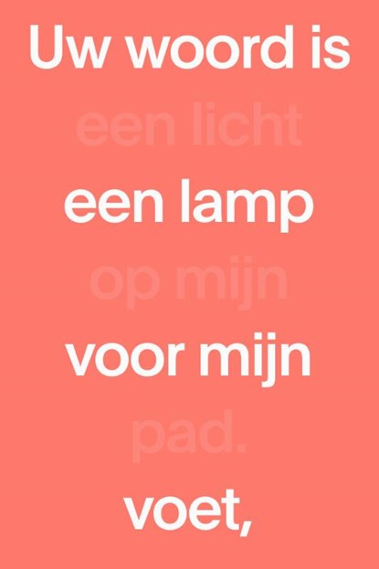 NBV21 Midsize Paperback, niet bekend - Paperback - 9789089124265