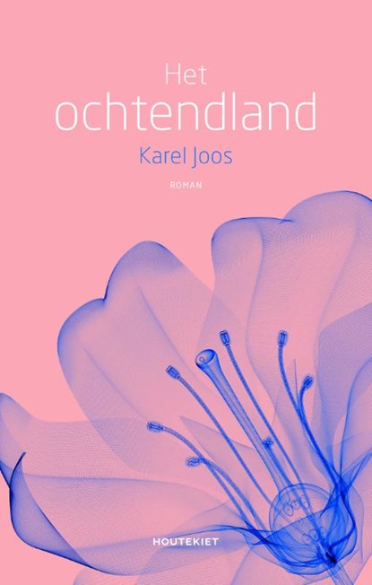 Het ochtendland, Karel Joos - Paperback - 9789089245946