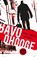Sfinx zonder gezicht, Bavo Dhooge - Paperback - 9789089314703