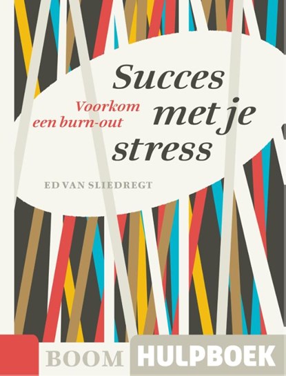 Succes met je stress, Ed van Sliedregt - Paperback - 9789089532138