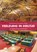 Veelzijdig in deeltijd, Corné Boerman ; Laurens Dragstra ; Ilse Van den Driessche ; Geert Jan Hamilton ; Peter Ording ; Gert Riphagen ; Stephan de Vos - Paperback - 9789089538642