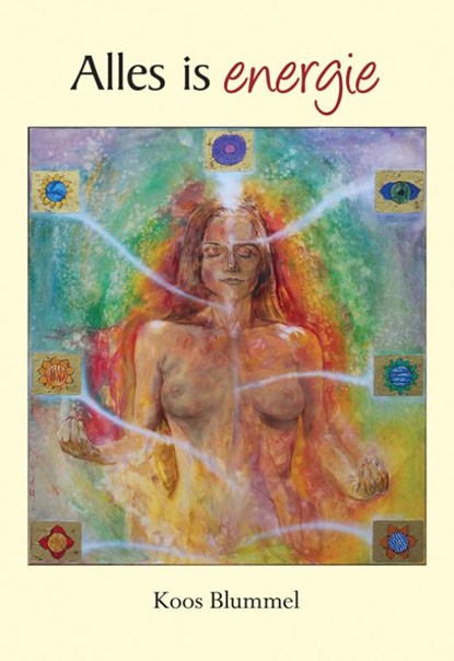 Alles is energie, K. Blummel - Paperback - 9789089540898