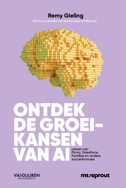 Ontdek de groeikansen van AI, Gieling Remy - Paperback - 9789089655097