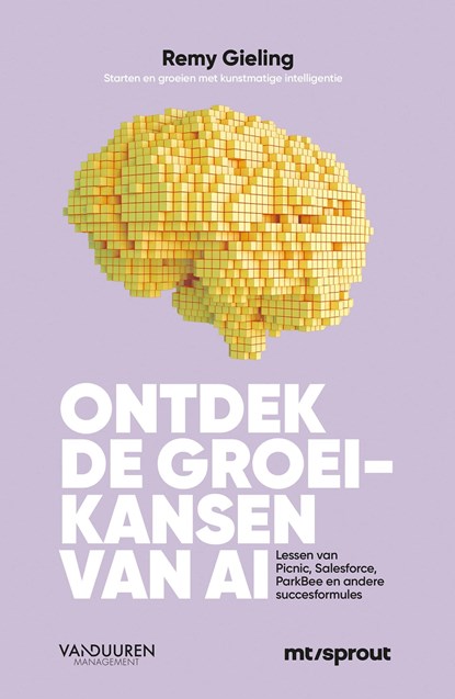 Ontdek de groeikansen van AI, Remy Gieling - Ebook - 9789089655103