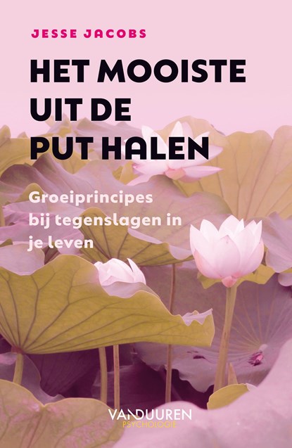 Het mooiste uit de put halen, Jesse Jacobs - Ebook - 9789089656339