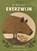 Ik ben het everzwijn, Katrin Wiehle - Gebonden - 9789089673534
