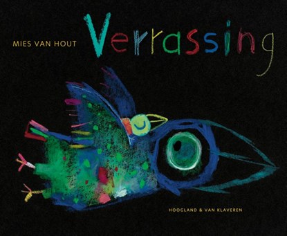 Verrassing, Mies van Hout - Gebonden - 9789089673862