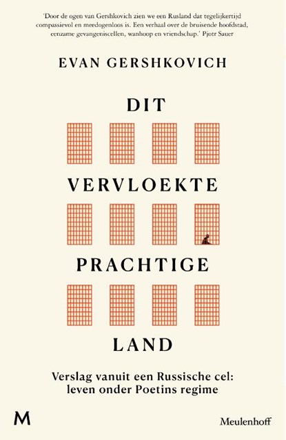 Dit vervloekte prachtige land