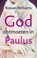 God ontmoeten in Paulus, Rowan Williams - Paperback - 9789089721600