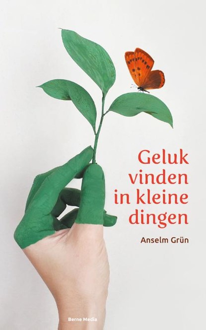 Geluk vinden in kleine dingen, Anselm Grün - Gebonden - 9789089723437