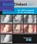 De ART-aanpak in de mondzorg, Jo E. Frencken - Paperback - 9789089763464
