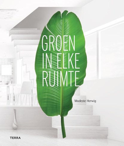 Groen in elke ruimte, Modeste Herwig - Paperback - 9789089897268