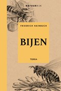 Bijen | Friedrich Hainbuch | 