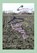 Leena, Jeltje Ratsma - Paperback - 9789090311012