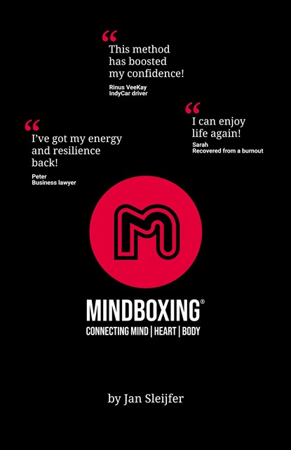 Mindboxing®, Jan Sleijfer - Ebook - 9789090367026