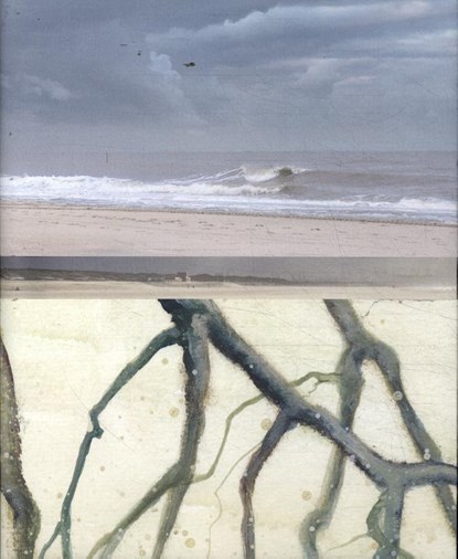 Refugium, Esther Hessing - Gebonden - 9789090368290