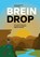 Breindrop, Steven Goudsbloem ; Ruby Beltman - Paperback - 9789090373973