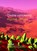 Dwaze verrukking - Foolish delight, Det Digit-Det Bazelmans - Paperback - 9789090386171
