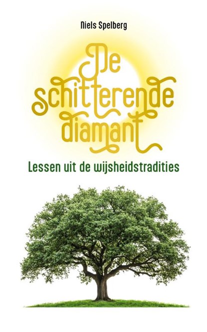 De schitterende diamant, Niels Spelberg - Gebonden - 9789090408446