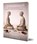 Terug naar jezelf, Michaéla Schippers ; Michelle Shanti ; Alexander van Walraven - Paperback - 9789090419046