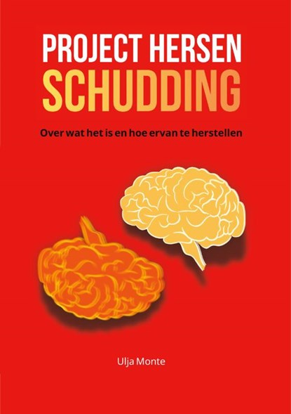 Project Hersenschudding,  - Paperback - 9789090424712