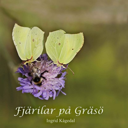 Fjärilar på Gräsö, Ingrid Kågedal - Paperback - 9789175690018