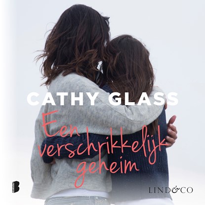 Een verschrikkelijk geheim, Cathy Glass - Luisterboek MP3 - 9789179957025